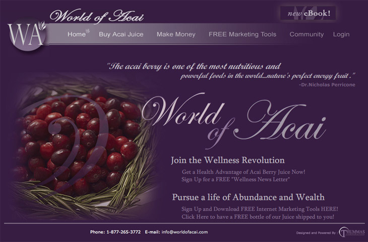 World of Acai-Join the wellness revolution and pursue a life of abundance and wealth